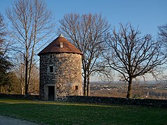 Colombier au chateau de Goutelas.jpg