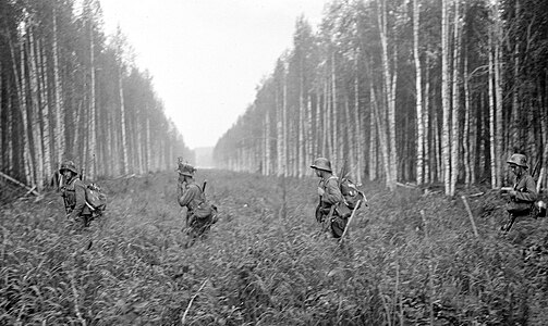 Finnish soldiers crossing the Finnish-Soviet border in July 1941.