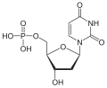 Deutsch: Struktur von Desoxyuridinmonophosphat English: Structure of Deoxyuridine monophosphate