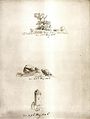 Caspar David Friedrich: Baum, Hünengrab und Turm, 1806