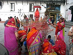 Femmes préparants le bûcher du Holika Dahan à Katmandou, effigie de la démone Holika, sœur de Hiranyakashipu, qui sera brûlé la nuit.