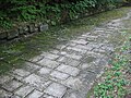 Sarmizegetusa Regia/Reședință regală (Awtostrada Witta/Calzada pavimentada/Paviment Calzade)