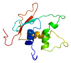 PDB в комплексе с 2dll.