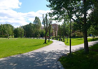 Parkens grönområde och promenadstråk.