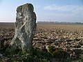 Peulvanoù La Grosse Devise, war ar vevenn ouzh Colomby-sur-Thaon.