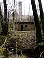 Ruine im Zeitzgrund