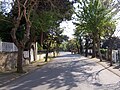 Typical street in Büyükada