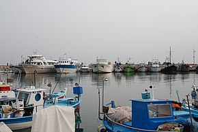 Hafen Ayia Napa (2010)