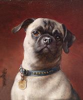 Um pug por Carl Reichert (1836-1918)