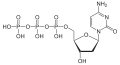 Deutsch: Struktur von Desoxycytidintriphosphat English: Structure of Deoxycytidine triphosphate