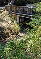 Bear Creek (San Francisquito Creek tributary)