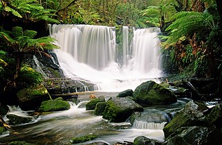 Horseshoe Falls, Tasmania