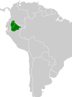 Distribución geográfica del tororoí ventricanela ecuatoriano.