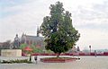 English: Cathedral as seen from the castle Polski: Katedra widziana z zamku