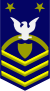 Master Chief Petty Officer of the Coast Guard (reserve)