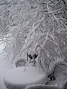 Winter patio Hancock Village Brookline Town Massachusetts New England.jpg