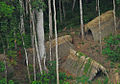 Índios isolados avistados no Acre (2009).