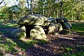 Hunebed D8 in het Kniphorstbos bij Anloo