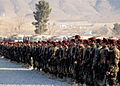 Afghan commandos