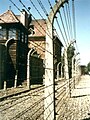 Electrified Fence, Tower & Guard Posts