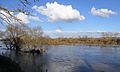 La Loire à Chambilly, après quelques jours de pluie.