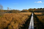 Mattöns våtmarksområde i Färnebofjärden