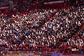 Zuschauer beim Finale des Coupe de France 2013 im Eishockey