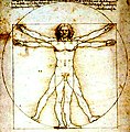 El Hombre de Vitruvio tal como lo interpretó Leonardo da Vinci.
