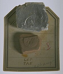 Photographie d'un fragment de céramique présentant une marque de potier et de ce qui semble être un moulage de cette empreinte. Les deux objets sont posés sur une feuille beige.