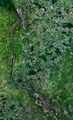 Satellite Image of Bremerhaven (above) and Bremen (below)