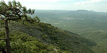 Sierra San Carlos, with a pine tree (Pinus teocote) on left, Municipality of San Carlos, Tamaulipas, Mexico (12 July 2007)