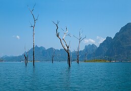 Trees rising out of Cheow Lan Lake, blue sky, eternal summer in Surat Thani edited.jpg