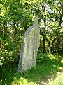 Plomeur : le troisième menhir de Kerfland.