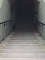 Stairs to the tunnel