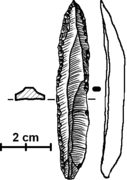 Punta de El Wad, asiática