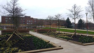 Landscaping in the Green Heart, Birmingham University - geograph.org.uk - 6035152.jpg