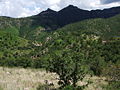 Cumbre Majalca, Majalca National Park.