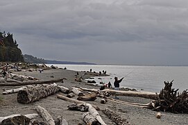 Fishing at Lighthouse Park, Mukilteo, Washington. This is the January image in the 2015 Lushootseed calendar published by the Tulalip tribe.