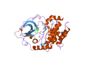 2uzu: PKA STRUCTURES OF INDAZOLE-PYRIDINE SERIES OF AKT INHIBITORS