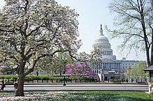 The US Capitol in Washington DC.jpg