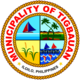 Official seal of Tigbauan