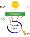 català