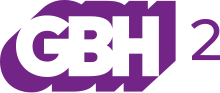 WGBH-TV 2 logo (2020).svg