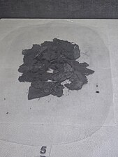 بقایای منسوجات سوخته در لهیب آتش اسکندر (موزه تخت‌جمشید)