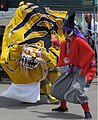 大槌郷土芸能祭で披露された虎舞（2017年7月）