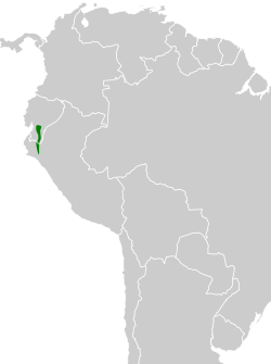 Distribución geográfica del piscuiz ratón.