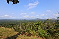 Lookout on Tiger Fern Trail