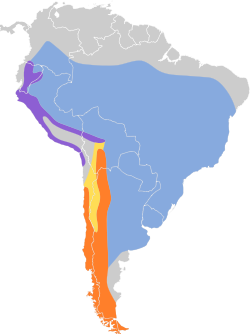 Distribución geográfica del fiofío crestiblanco (incluyendo E. a. chilensis).