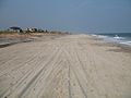 Strand bei Fire Island Pines