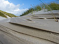 Platz 8: Martha Pohl - Schleswig-Holstein, Landschaftsschutzgebiet Amrum. Aus dem Kniepsand bildet der Wind immer neue Dünenansätze, erstes Dünengras wächst.